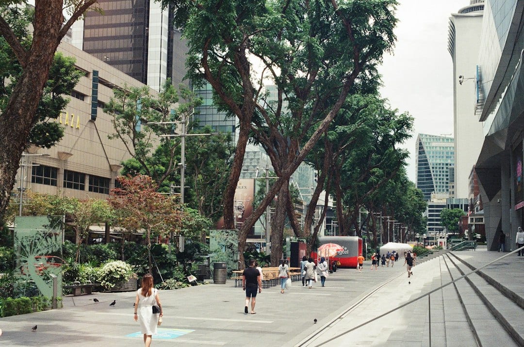 Couple walking along a quiet tree-lined residential street